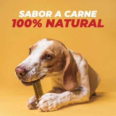 Doggest - Snack Higiene dental