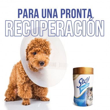 Stoy Mascotas 270 gr -...